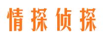 湖南调查公司